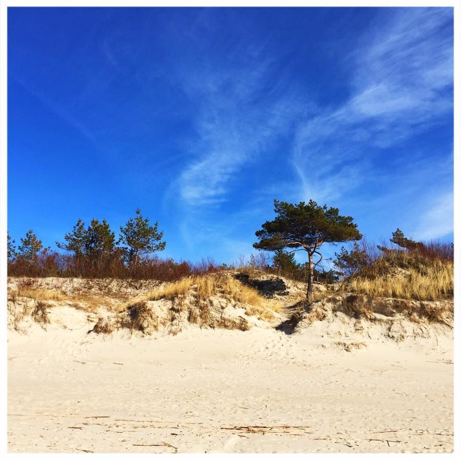 Vitavila Palanga Eksteriør bilde